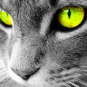 Meet your Posher, Stefan